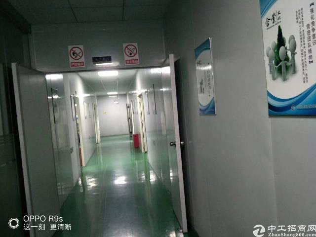 长安带水电装修厂房出租 长安带水电装修厂房出租