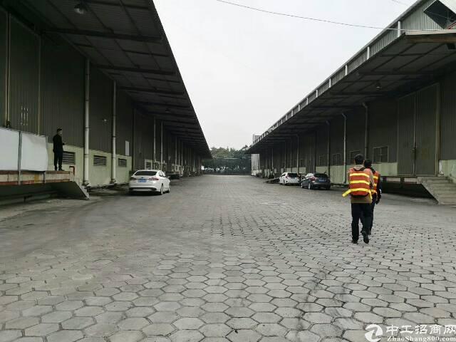 广州黄浦原房东大型物流仓库出租26000平米