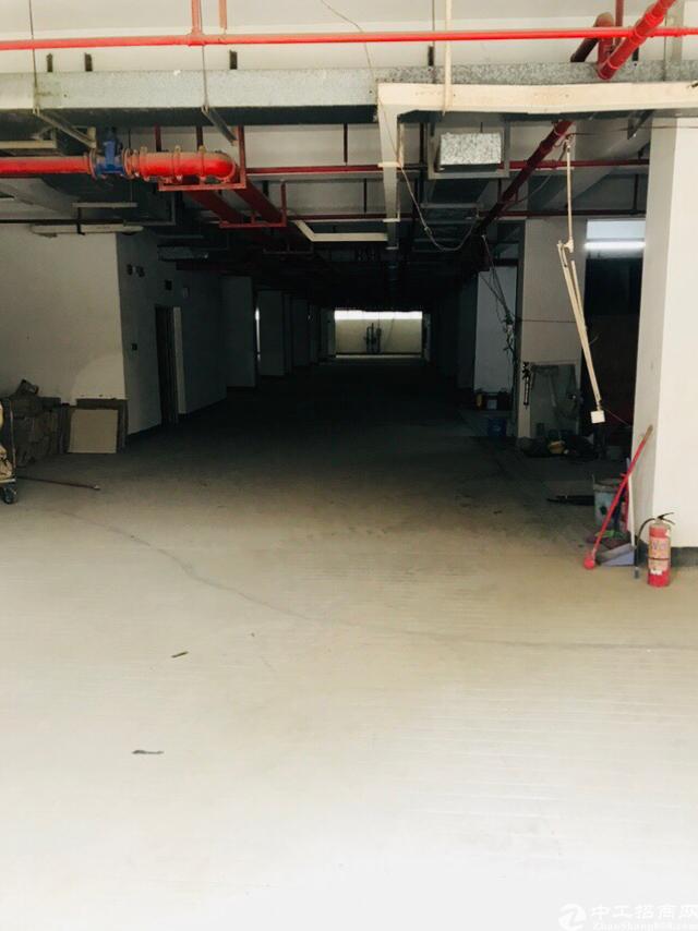 公寓实际面积出租原房东繁华区域旁有多条高速旁有高新产业园13