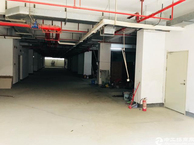 公寓实际面积出租原房东繁华区域旁有多条高速旁有高新产业园13