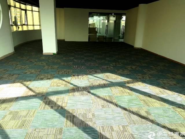 坂田杨美地铁口独院红本写字楼