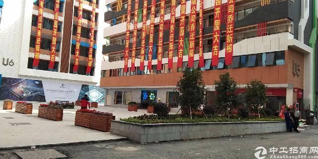 (出租)特价特价仅75元租宝安双地铁口超甲级写字楼