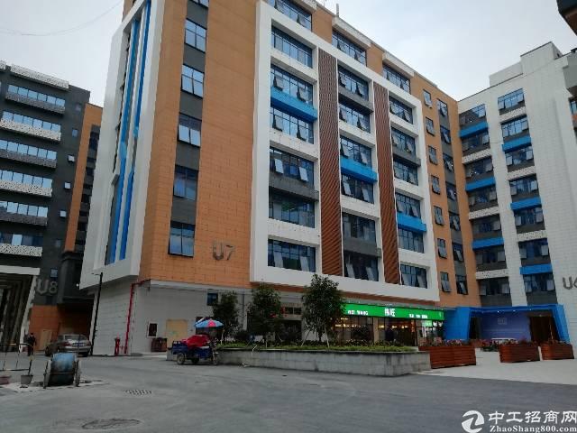 西乡固戍地铁口边大型成熟产业园218平精装出租