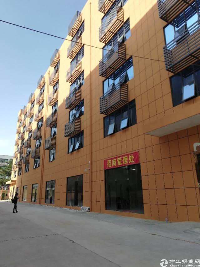 西乡地铁口全新装修写字楼出租特价50元每平