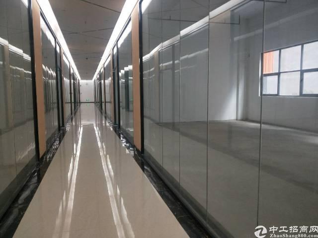 西乡固戍地铁口3+1精装写字楼247平出租
