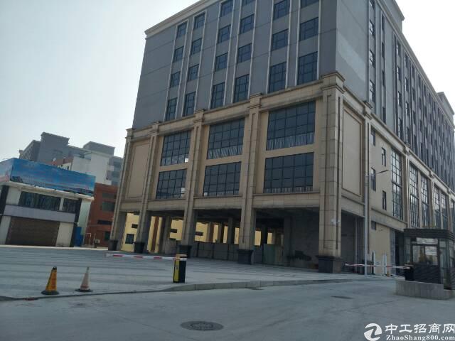 石井镇石沙路石井工业区新建创意园招租