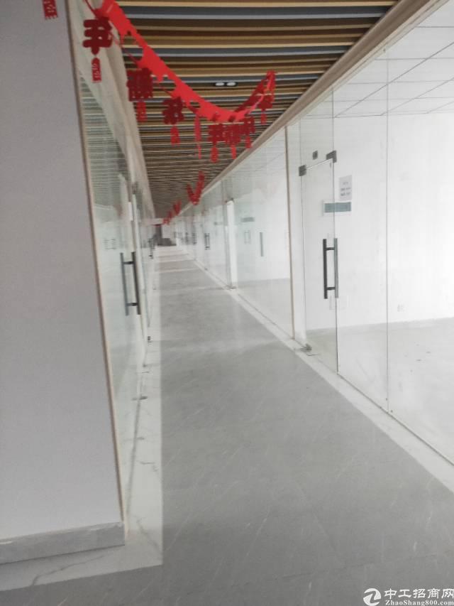 全新写字楼楼下都有隔好,大小都可以