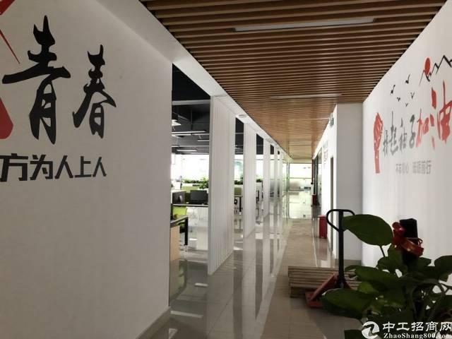 大浪商业中心1200平办公室招租