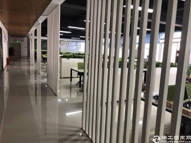 大浪商业中心1200平办公室招租