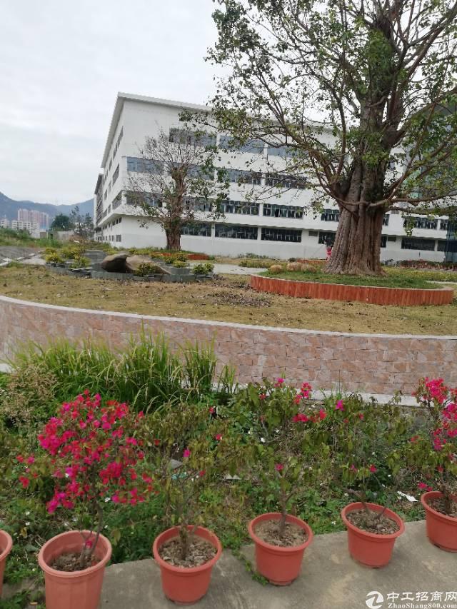 坪山大工业区办公室厂房出租,大小可租