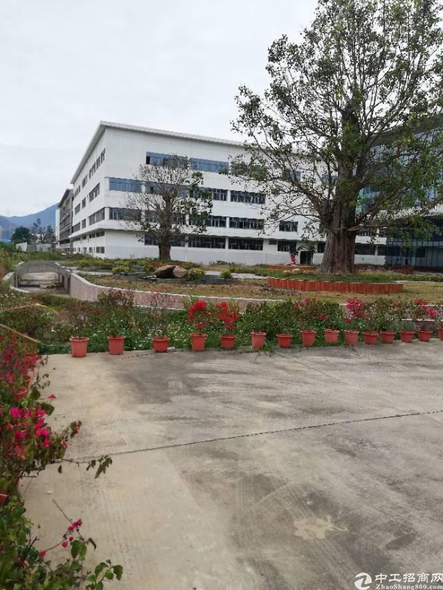 坪山大工业区办公室厂房出租,大小可租