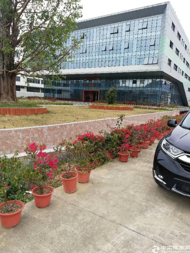 坪山大工业区办公室厂房出租,大小可租