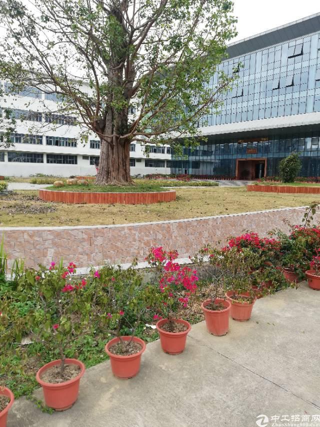 坪山大工业区办公室厂房出租,大小可租