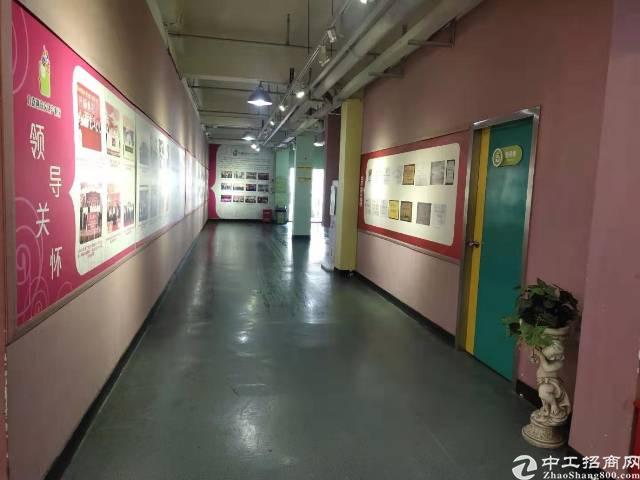 横岗地铁站500米新出一楼办公室146平