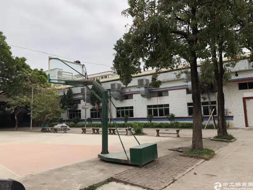 【塘厦小品占地】塘厦沙湖12000出租10000建高中元旦晚会搞笑厂房图片