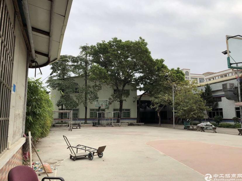 【塘厦厂房不到】塘厦沙湖12000出租10000建找工作高中生占地图片
