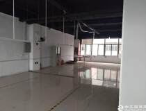 龙华大浪行政中心旁新出厂房带装修，面积200平方米，有红本