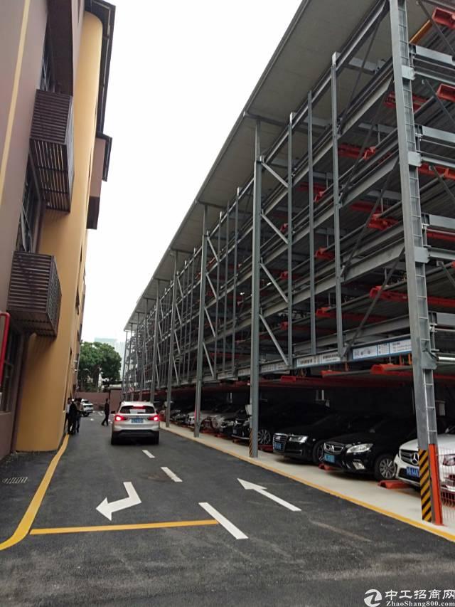 全新办公室龙岗3号线吉祥地铁站免佣招租