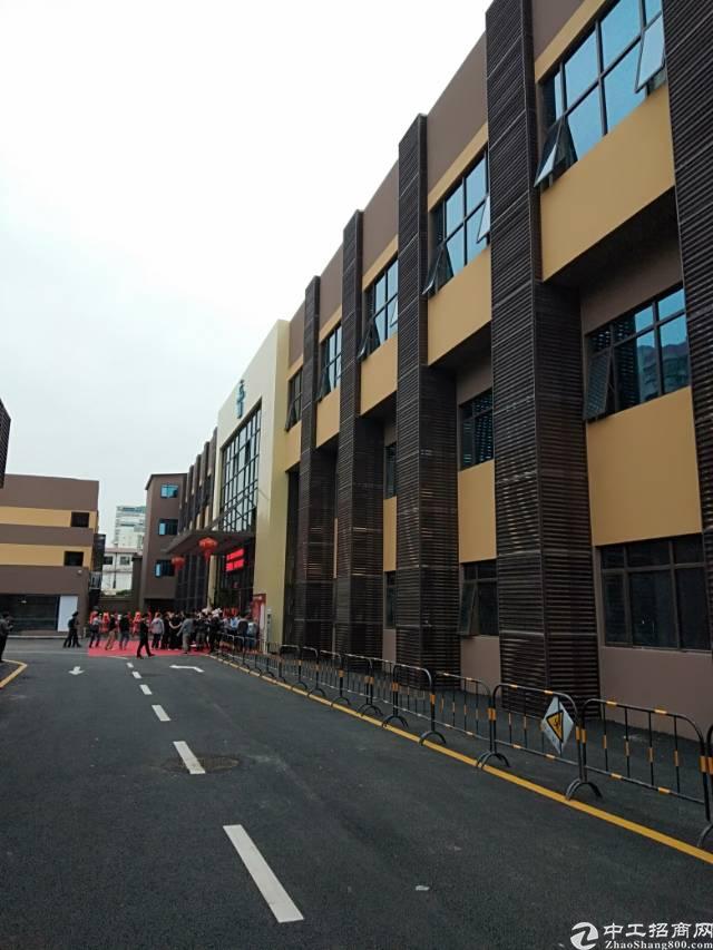 全新办公室龙岗3号线吉祥地铁站免佣招租