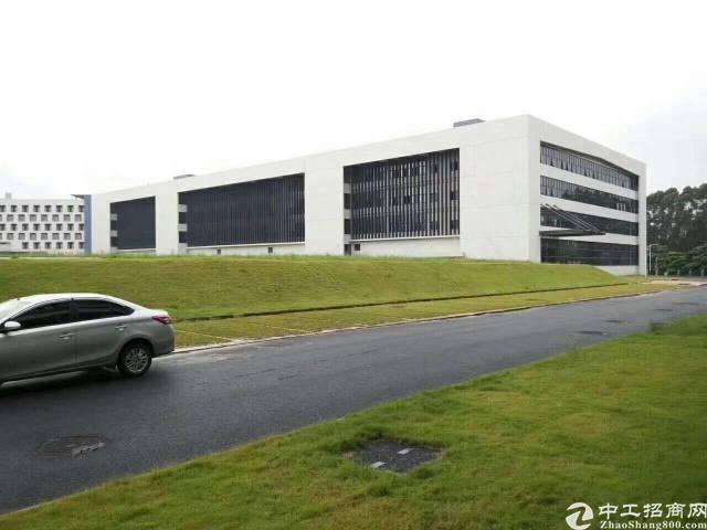 厂房出租仓库分租松岗高新产业园独栋1万平方可分层租。