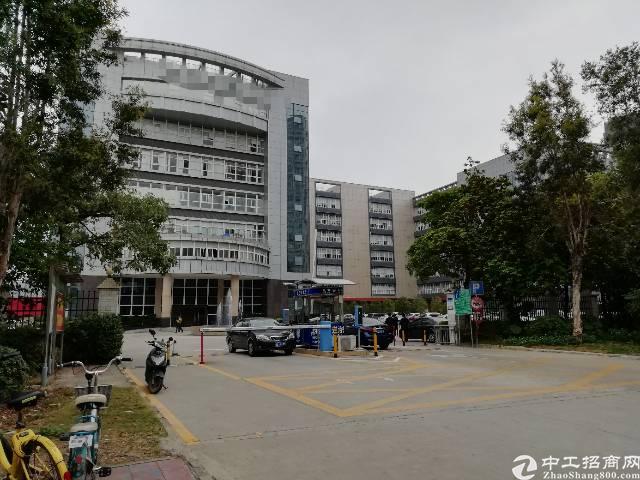 西乡11号线高端成熟园区楼上精装850平米7+1出租