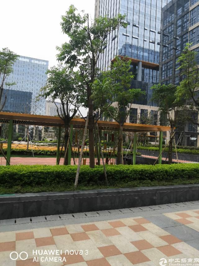 布吉花园式写字楼出租