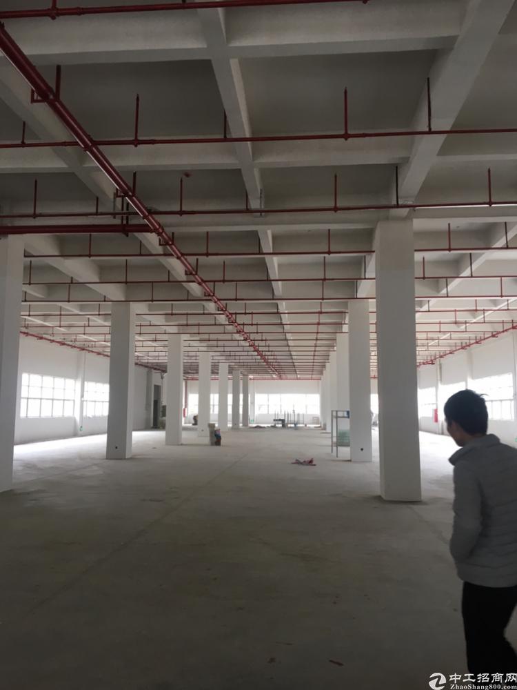 广州开发区标准厂房整层3000平适合仓库