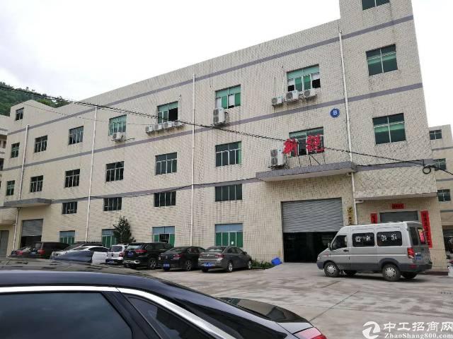 【清溪厂房出租】清溪大型工业园新出八成新原