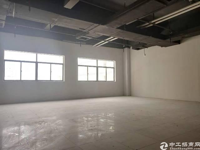 公明玉律白菜价精装修写字楼只租22块每平