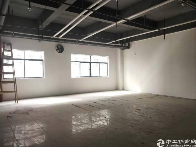 公明玉律白菜价精装修写字楼只租22块每平