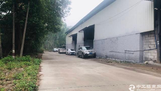 公示公告_绵阳新闻网PG电子APP下载 - 官方正版，安全无忧