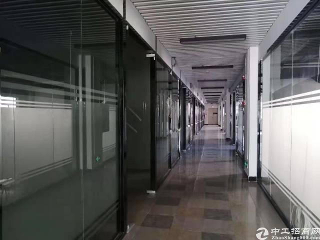 公明玉律白菜价精装修写字楼只租22块每平