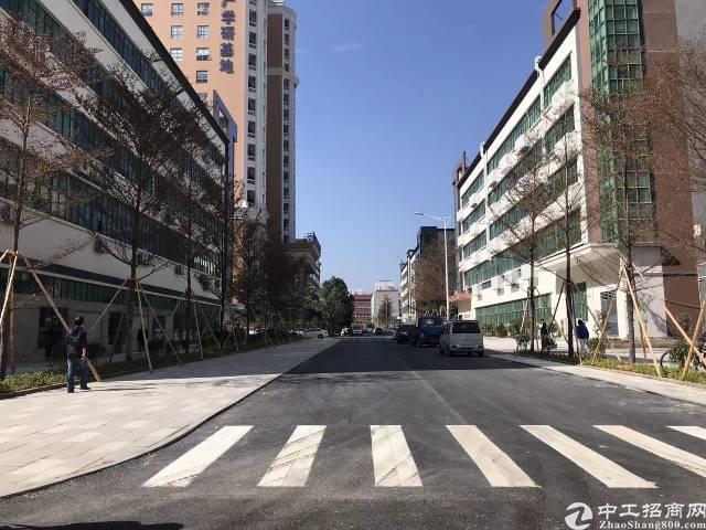 观澜章阁人口_观澜章阁华庭户型图(3)