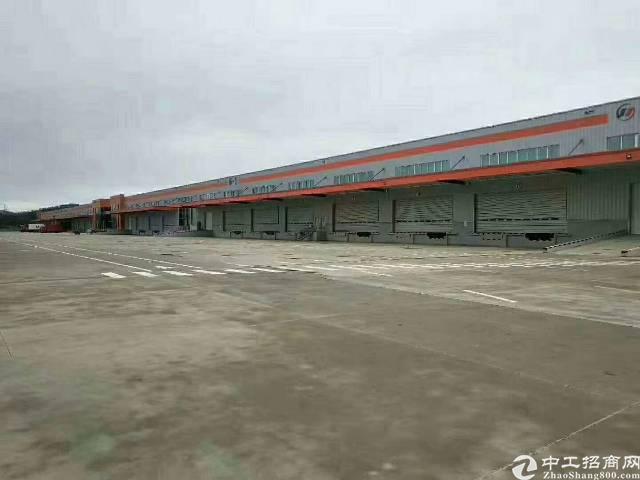 广州高新物流仓库出租，占地30亩，仓库两栋每栋29660平方