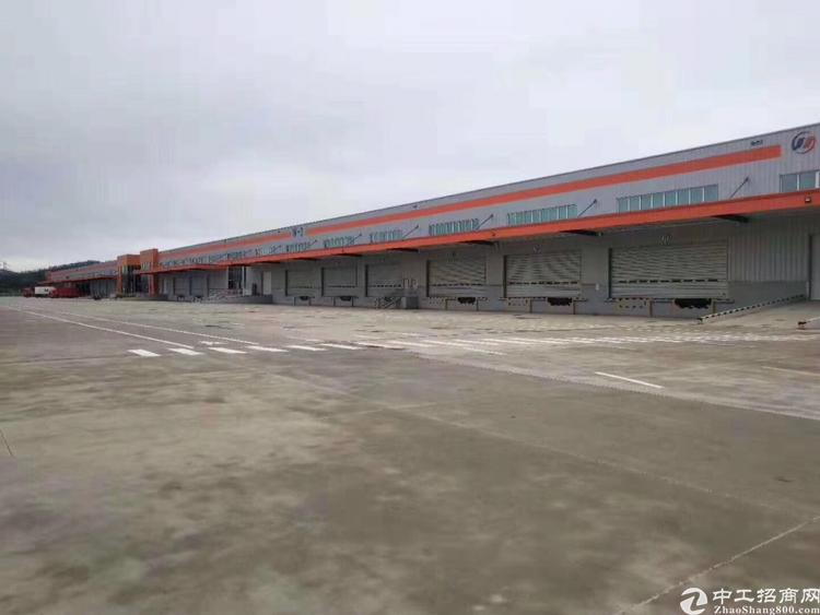 惠州市博罗县新出六万平高台物流仓库出租。