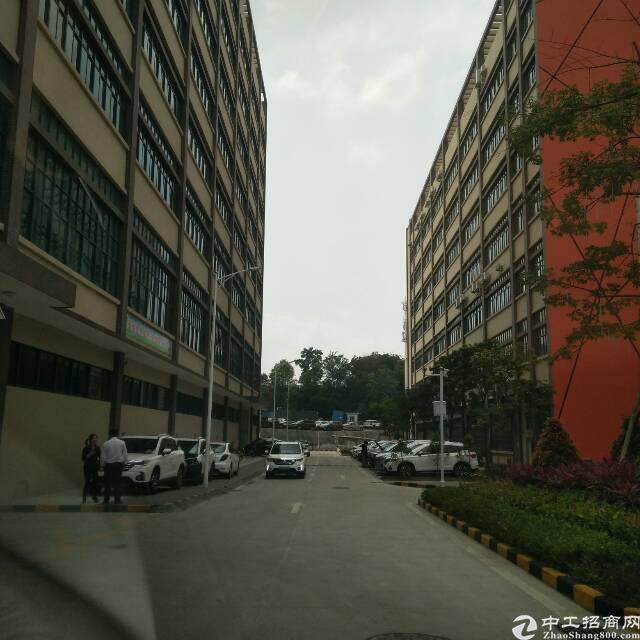 横岗荷坳地铁附近楼上精装修2000平出租大小分租