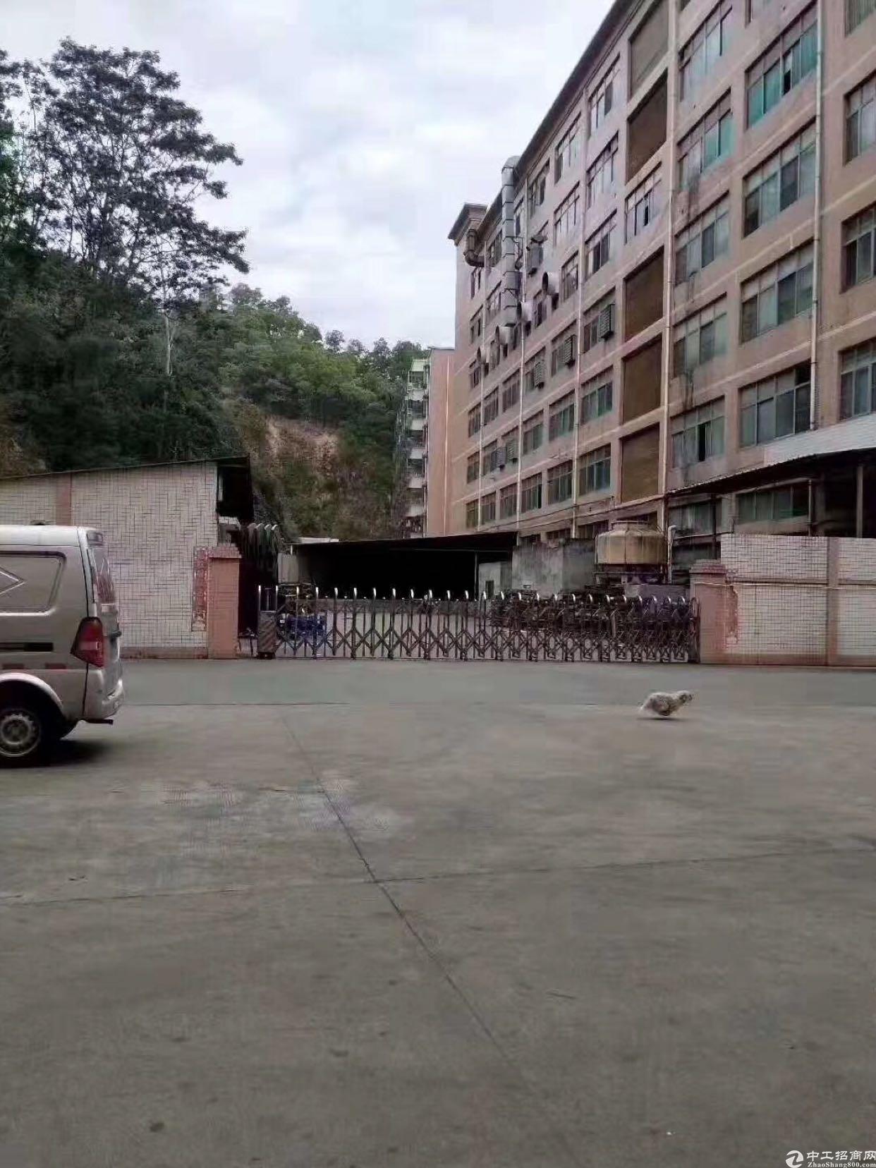 西乡鹤洲洲石路边整栋独门独院18500平厂房出租