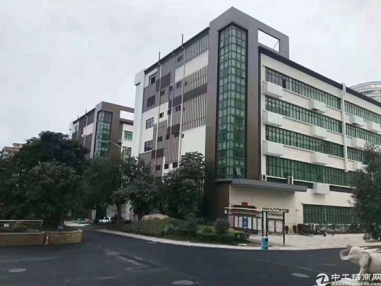 深圳,观澜,观平路边非常漂亮的写字楼,价格实在,手慢无
