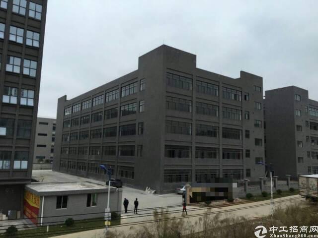 繁华地段全新写字楼包租