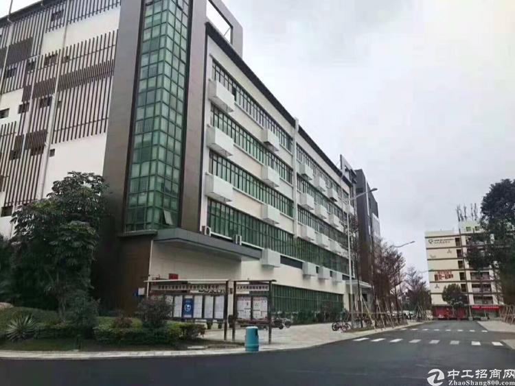 深圳,观澜,观平路边非常漂亮的写字楼,价格实在,手慢无