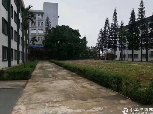 龙华油松金装写字楼50―300平出租