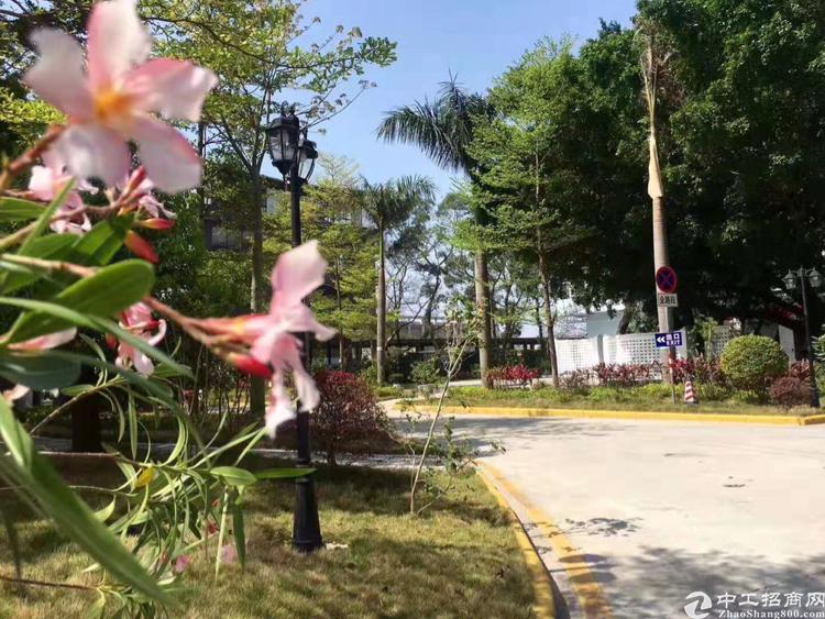 广州珠吉大灵山路工改商写字楼300平豪华装修