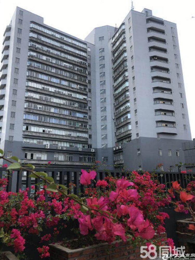广州黄埔大沙地临港写字楼八楼100平豪华装修
