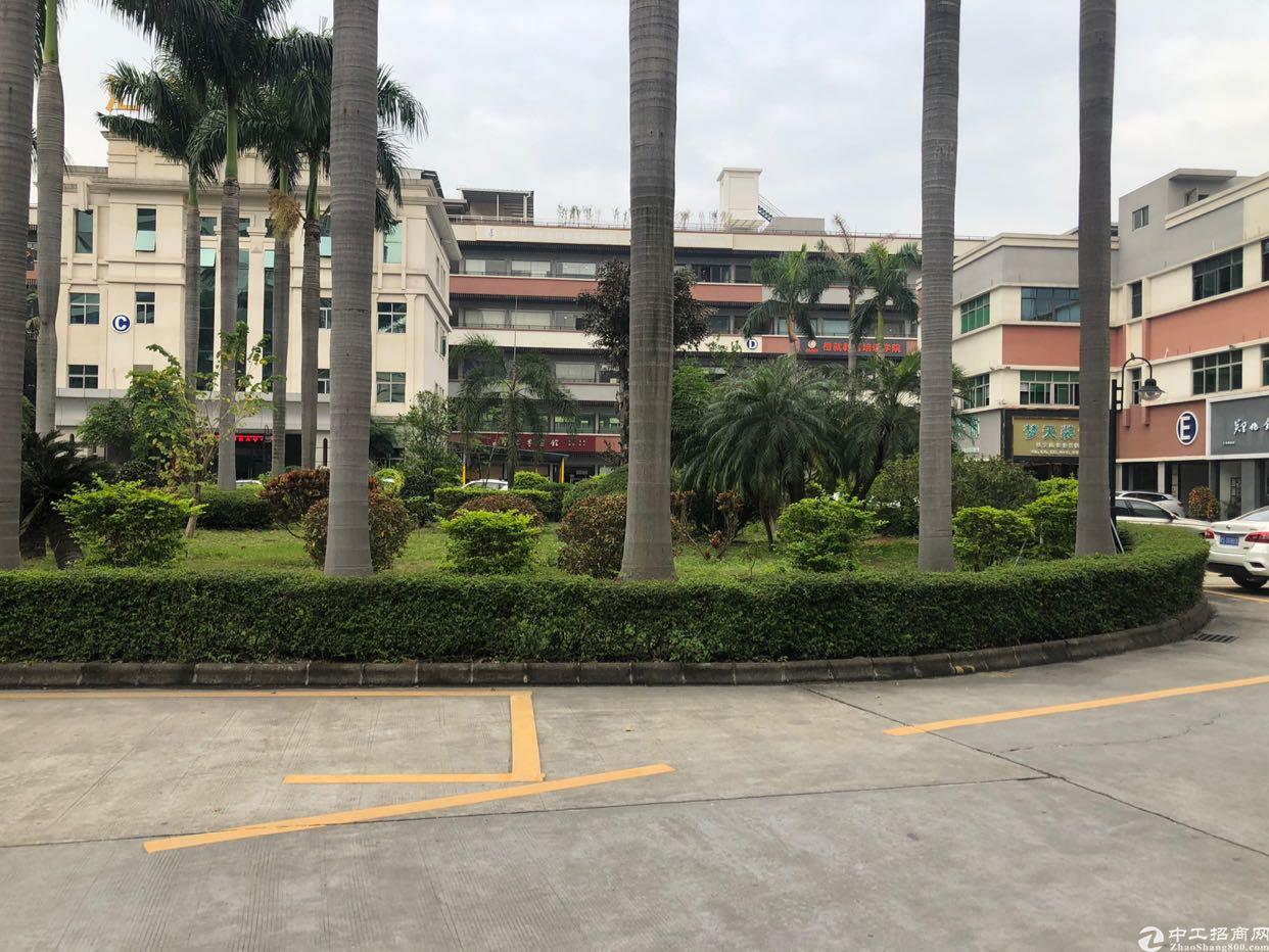 大朗镇中心超旺地段可做培训机构健身中心美容会所厂房出租
