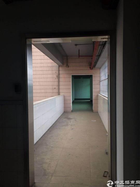 智慧城大观中路独栋出租价格优惠。