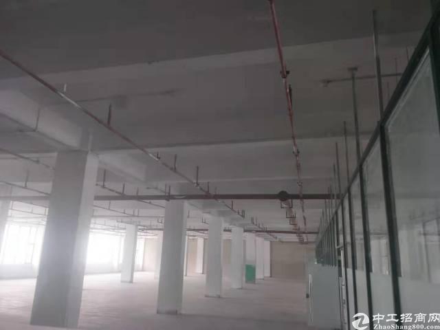 广州黄埔地铁鱼珠站精装2万平写字楼