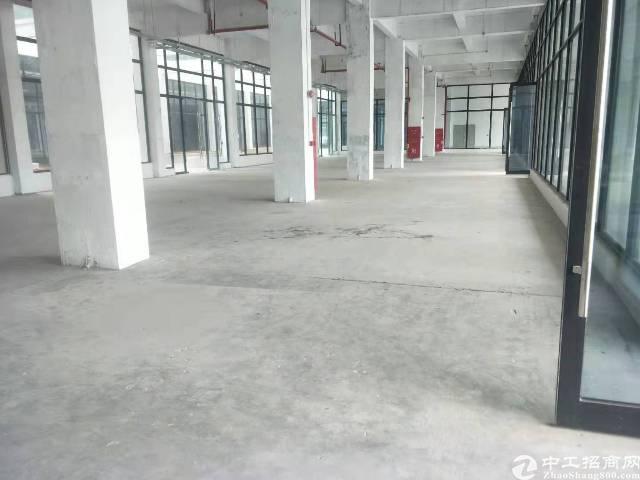 广州黄埔地铁鱼珠站精装2万平写字楼