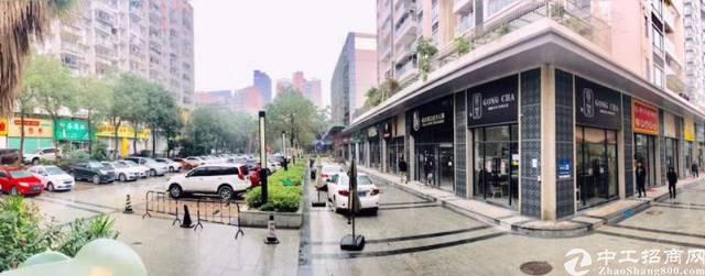 龙岗中心城主干道边临街旺铺直租