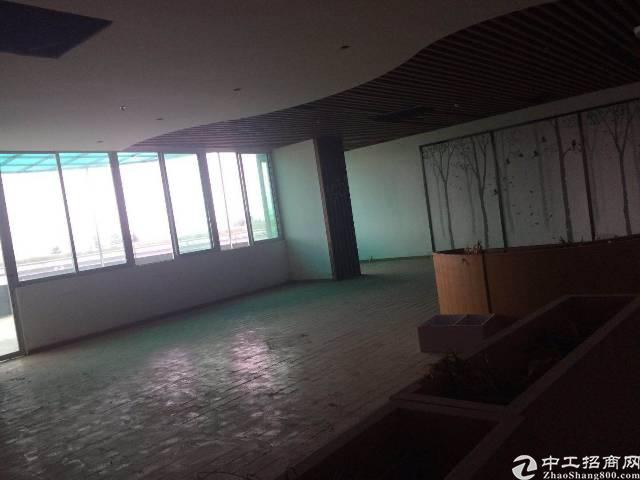 智慧城大观中路独栋出租价格优惠。