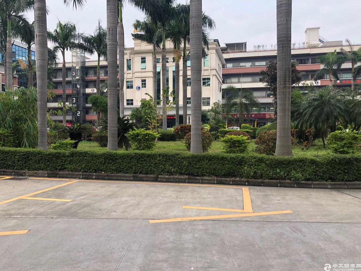 大朗镇中心超旺地段可做培训机构健身中心美容会所厂房出租